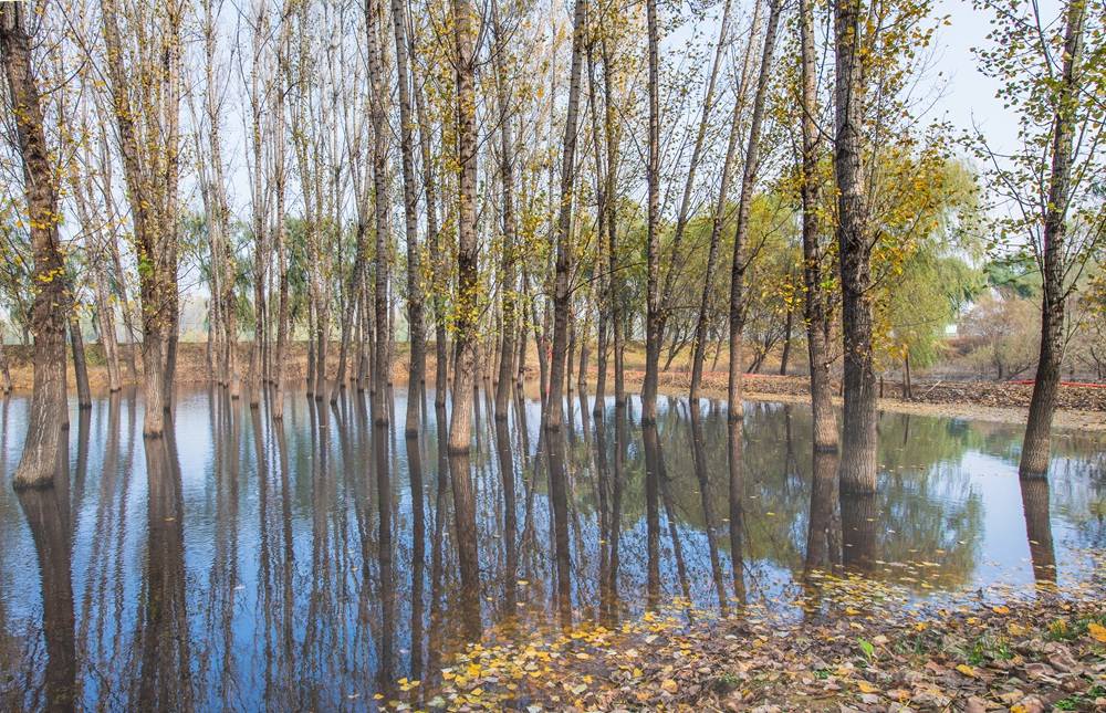 我拍建设中的弥水生态乐园