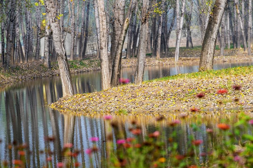 多角度看青州弥河国家湿地公园之弥水生态乐园