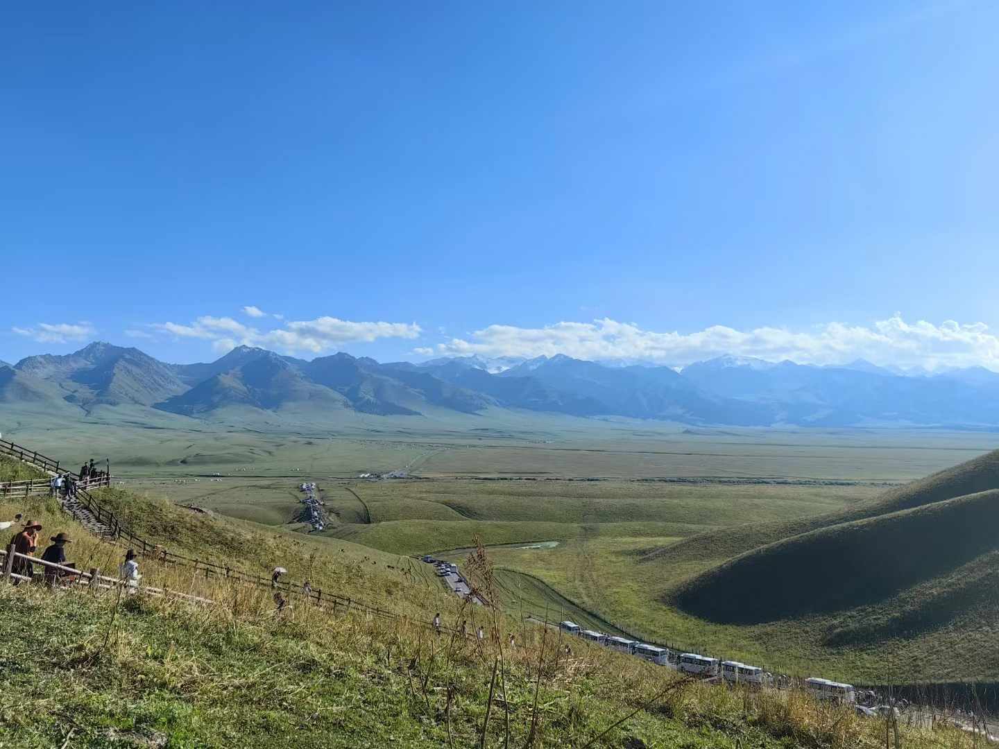 115.jpg