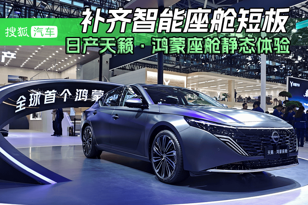 2025���ݳ�չ�������ղ�����