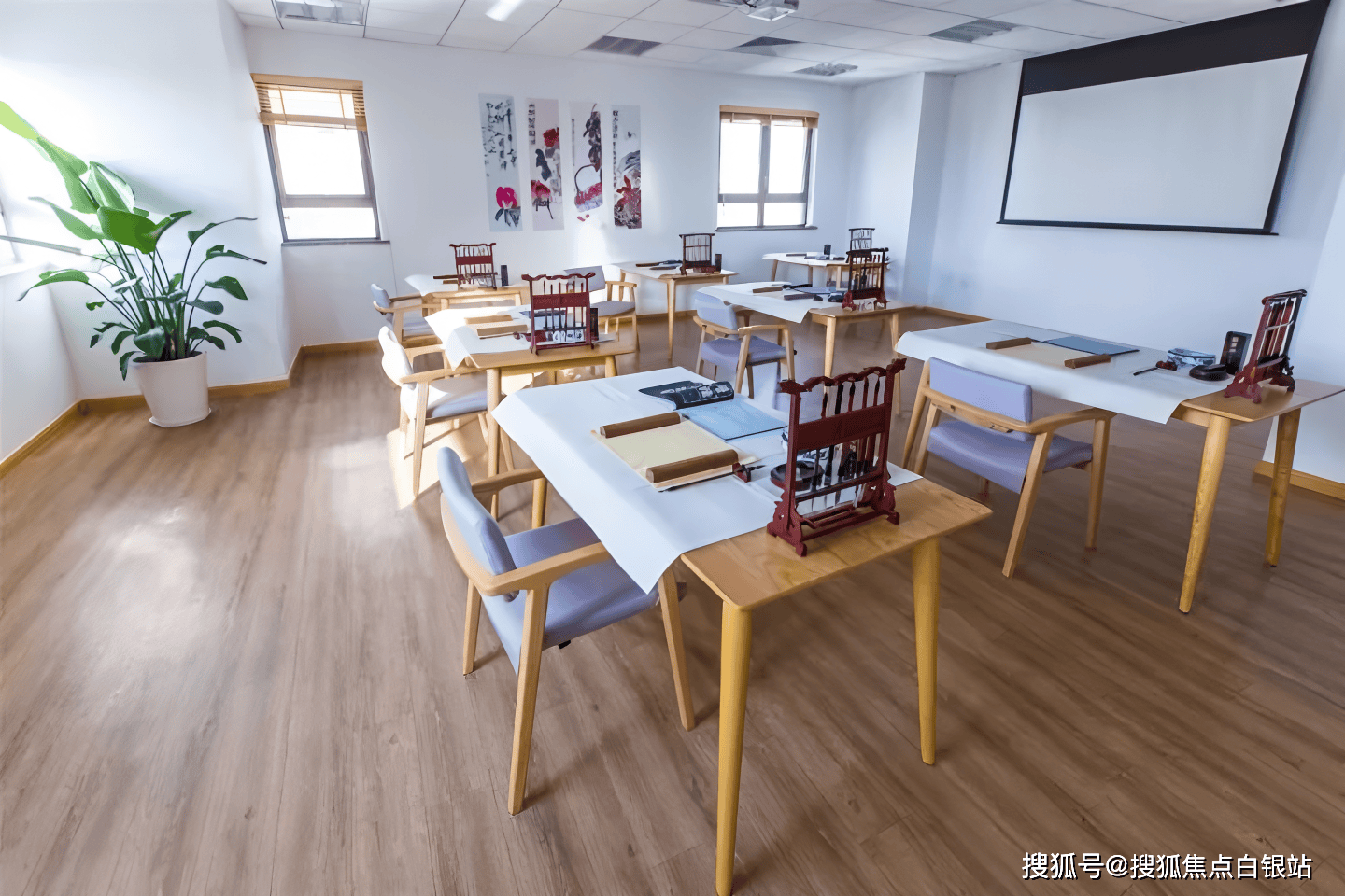 上海普陀区申养望年荟养老院2025年详细指南：地址查询+收费标准服务介绍_搜狐网