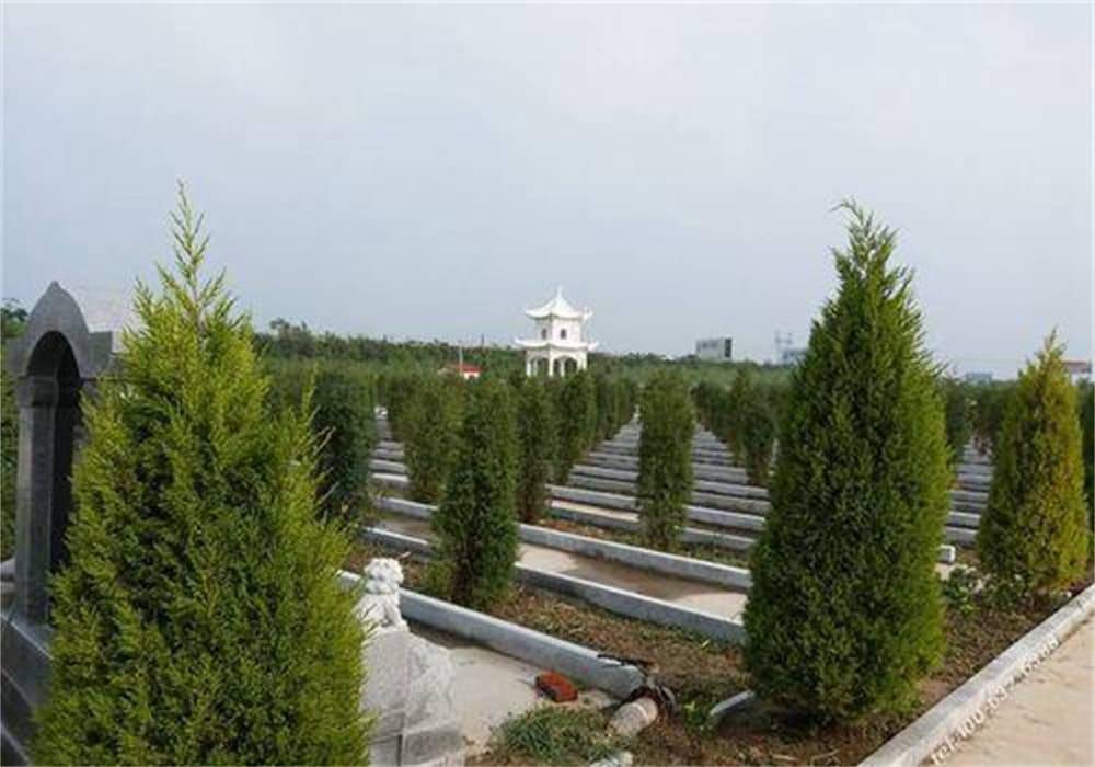 环境好不好-交通方便