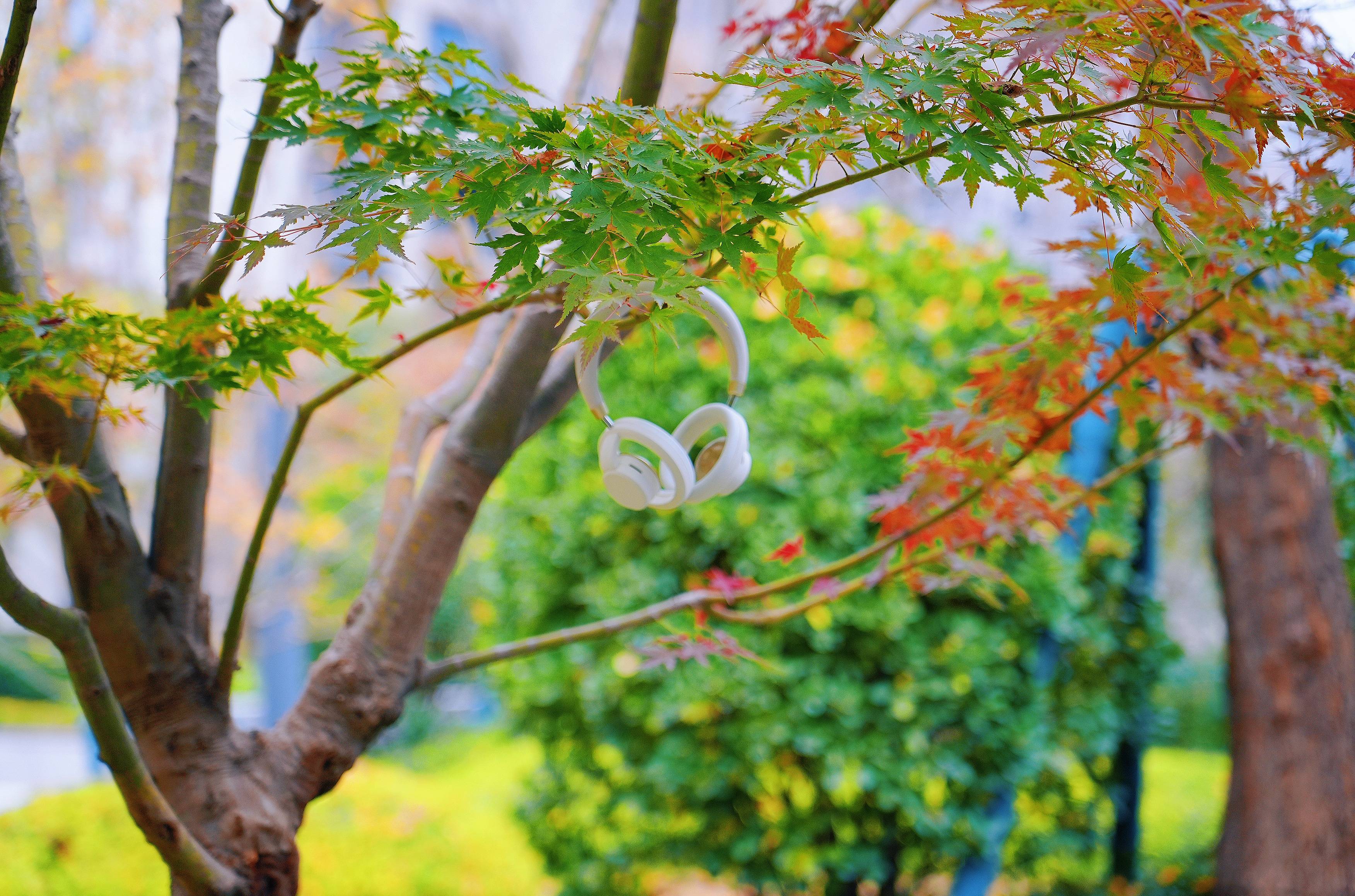 戴6小时耳朵不闷不油!南卡Bolt让我懂了:舒适和音质真能兼得