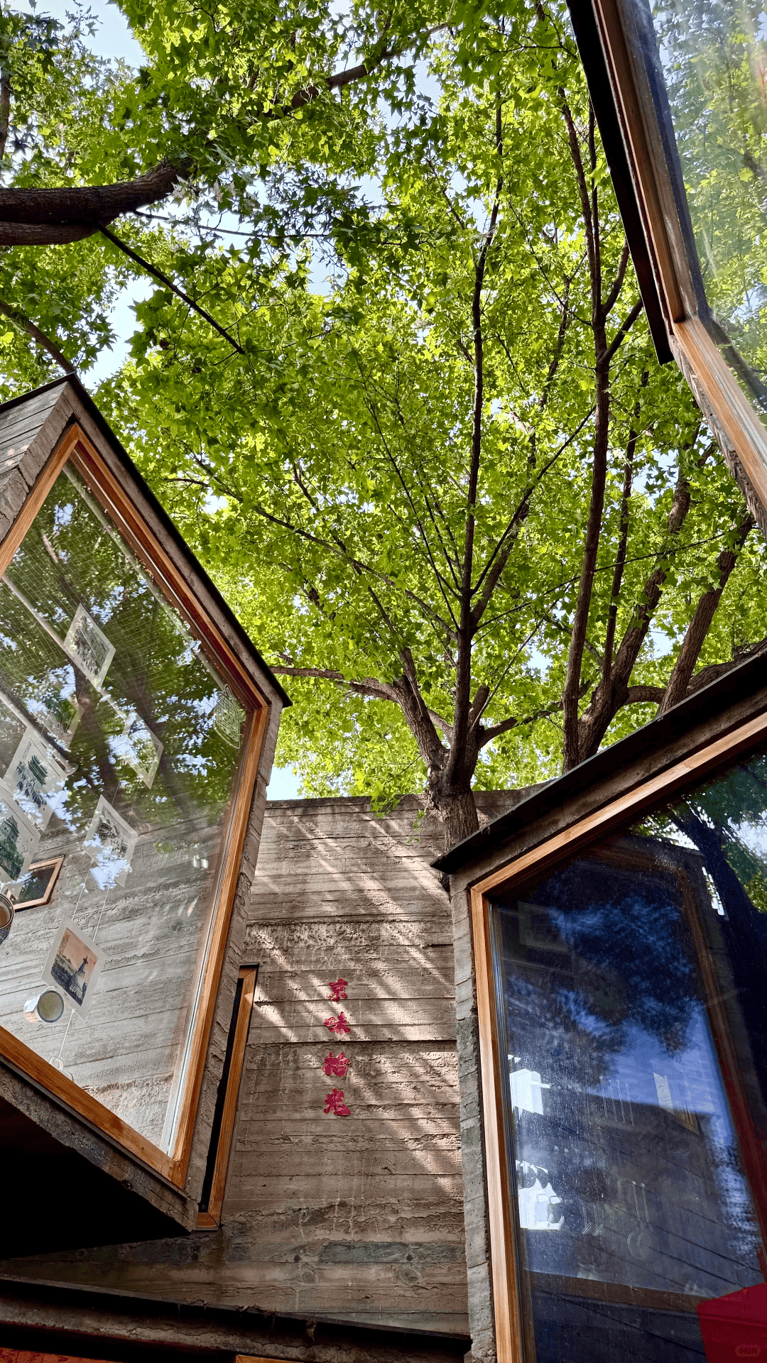 北京带娃归来！别再自己抢票拼团了，这份“避坑+省心”攻略才是王道