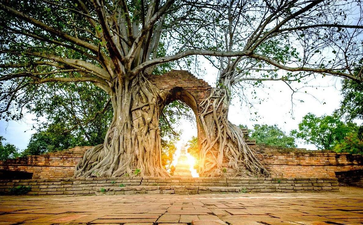拜访洪洞大槐树景区，感受根文化（二）_1_在旅行的林子_来自小红书网页版.jpg