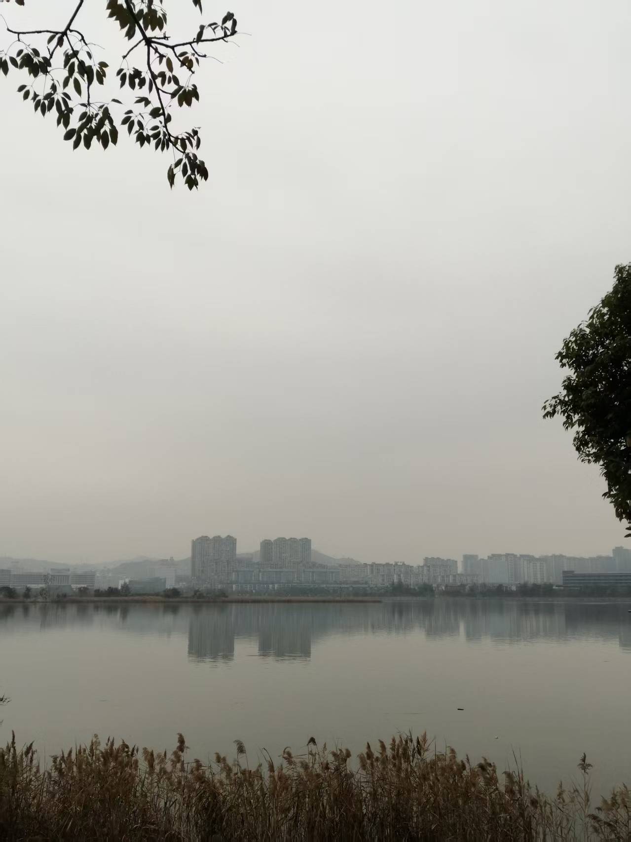 鹧鸪天 宁德南岸晨曲