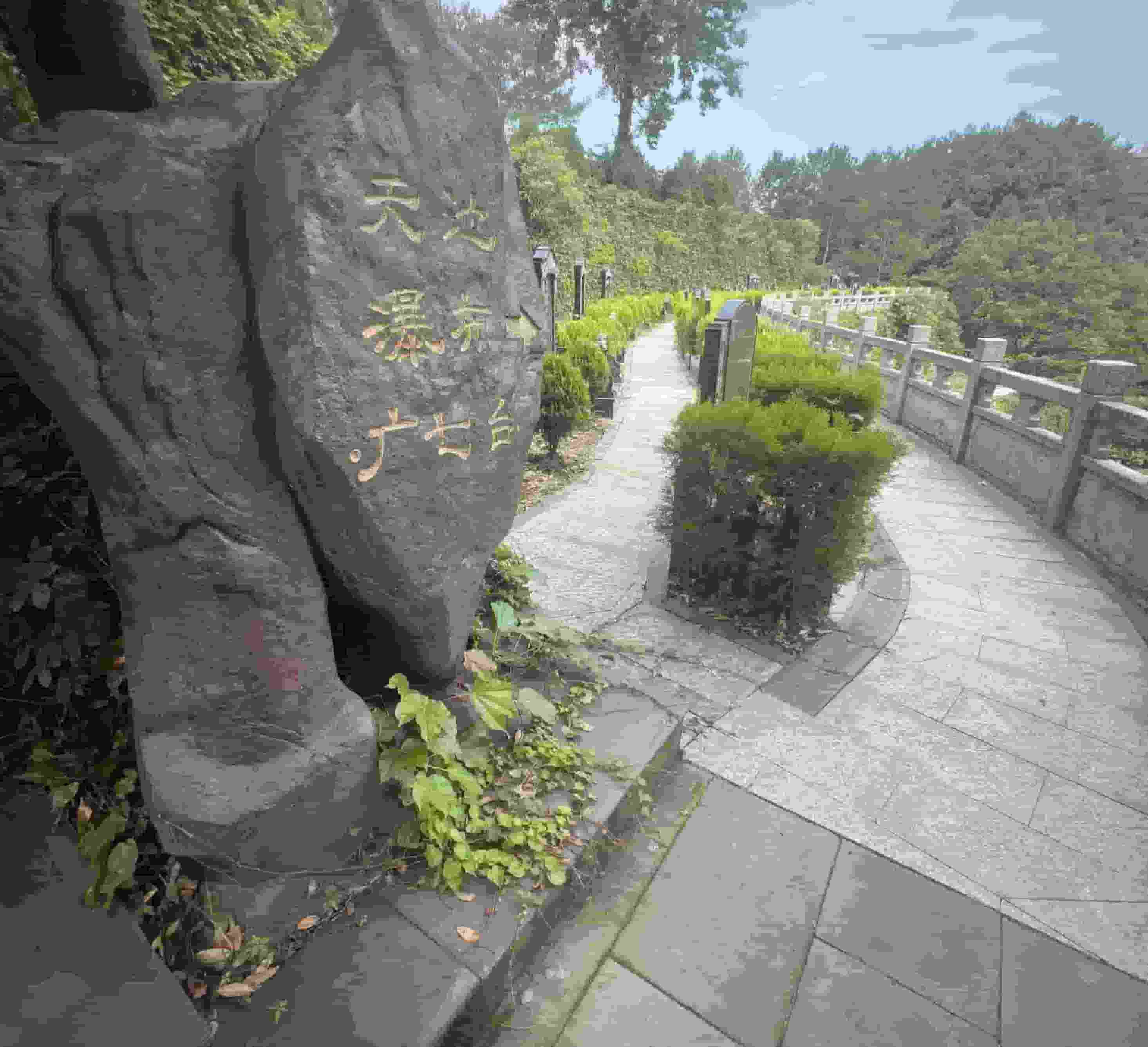 最新红枫艺术陵园公墓墓地咨询电话汇总