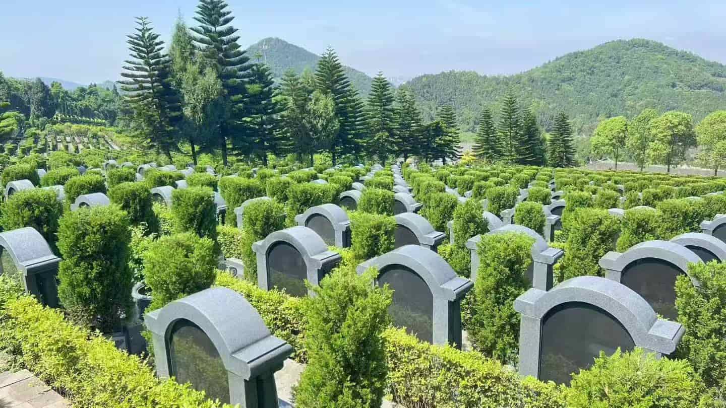 红枫艺术陵园简介｜权威详解红枫艺术陵园销售部优势