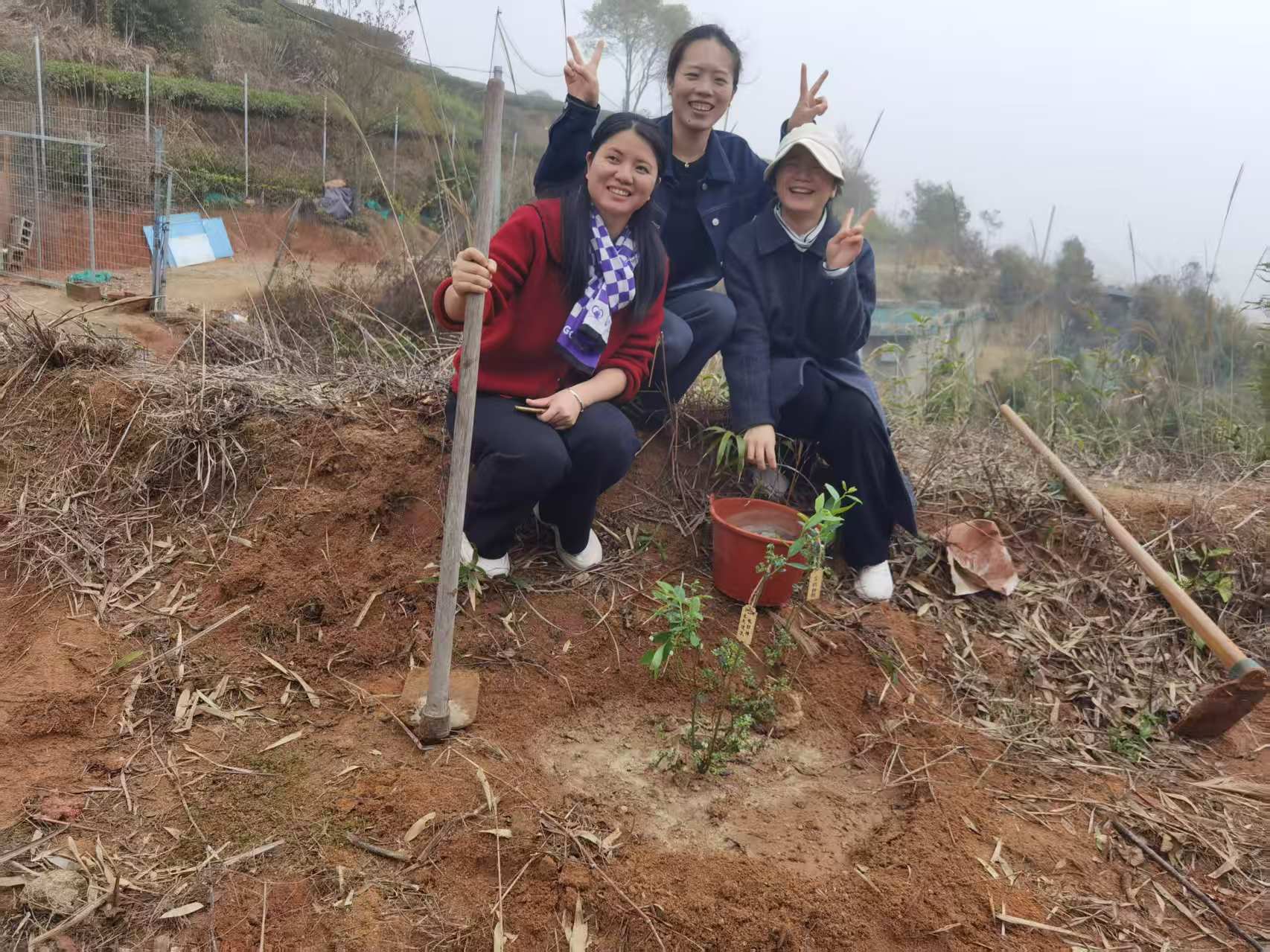 厦门同安军营村旅游服务中心，军营村团建党建服务中心，军营村高山迎旅游服务平台