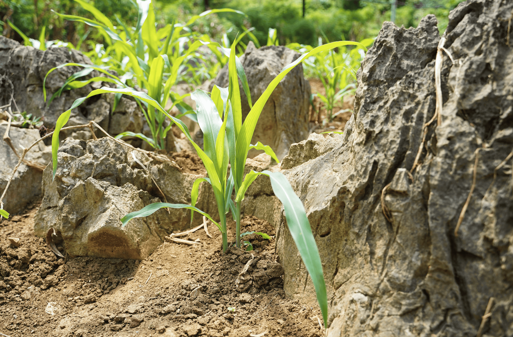 截屏2026-03-19 17.41.27.png