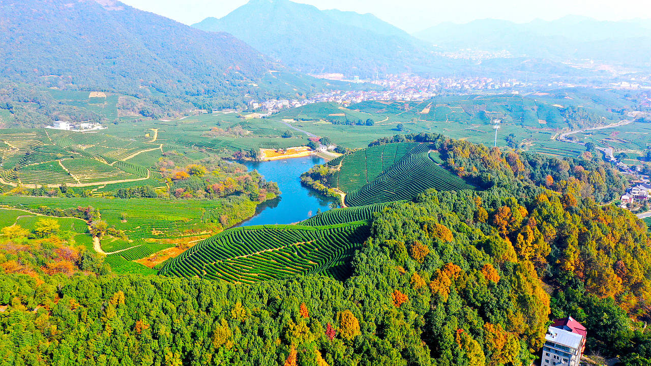 龙坞茶村.jpg