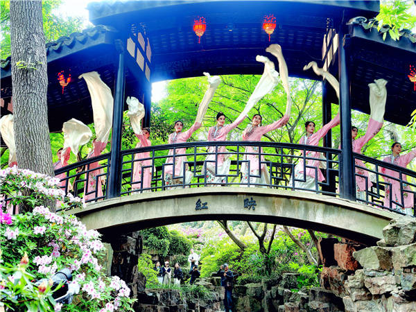 醉红坡上花如海，杜鹃园里画中游(图6)