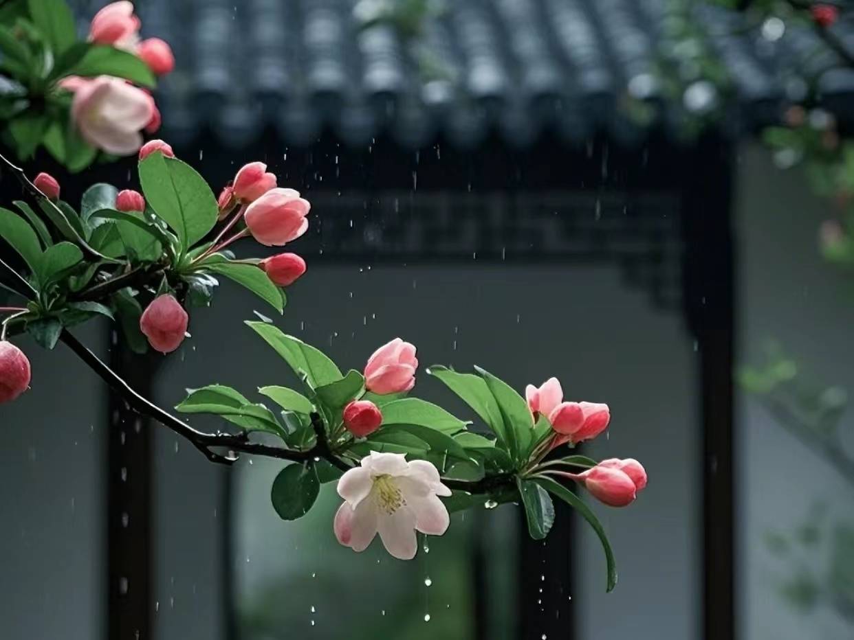 微信图片_20260502153756_3511_6.jpg