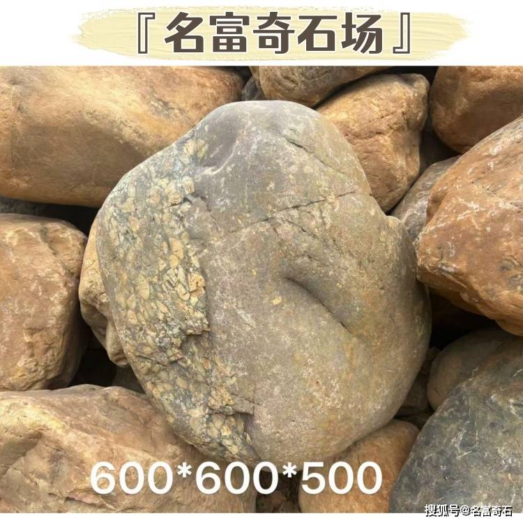 59.jpg