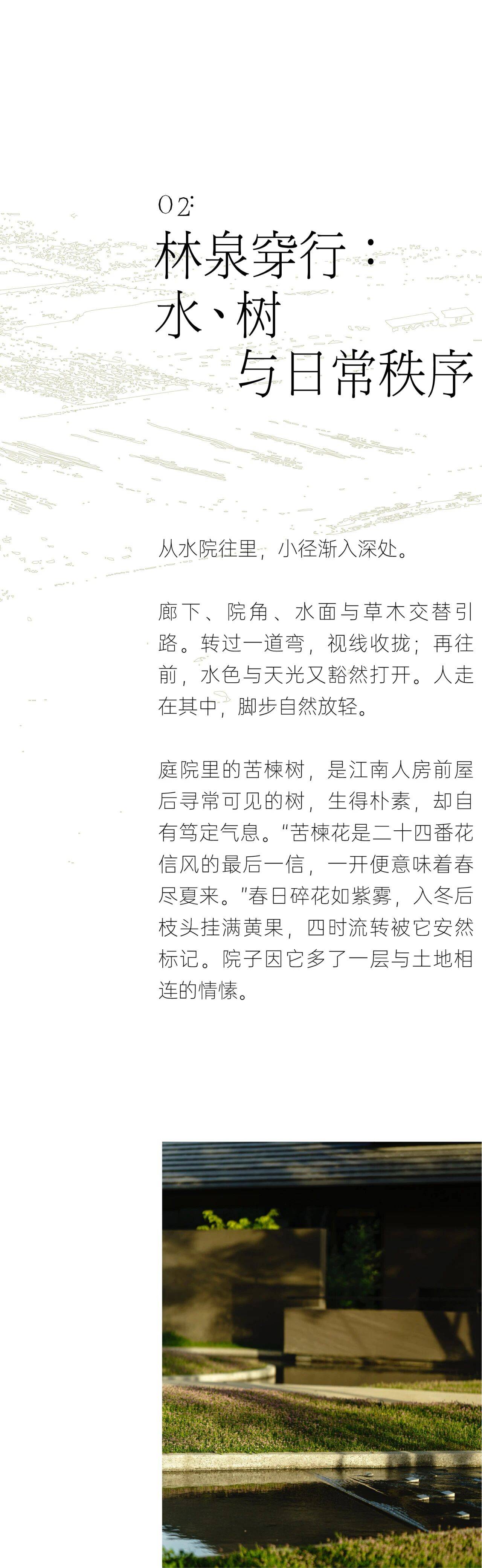 63.jpg