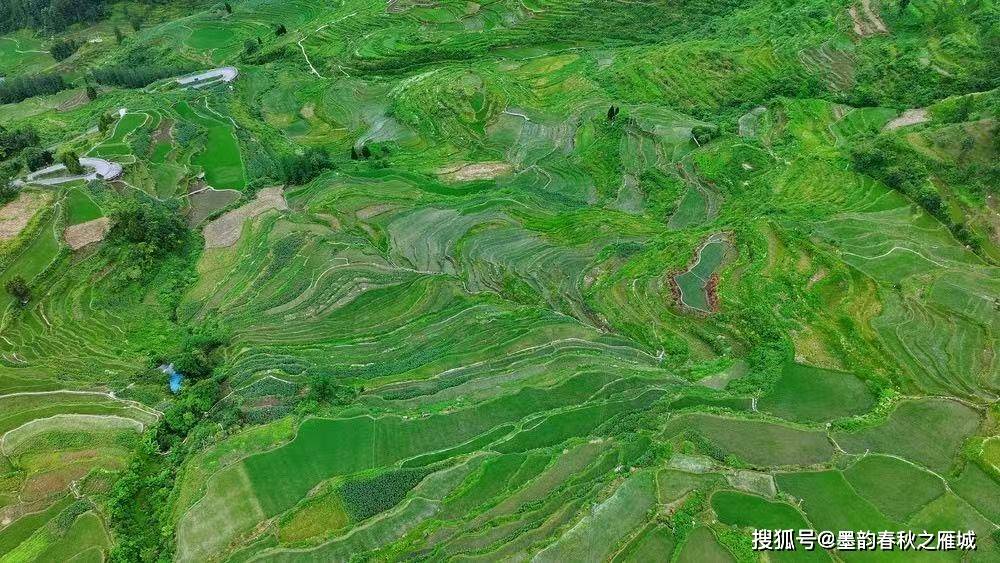 微信图片_20260625191245_6_4.jpg