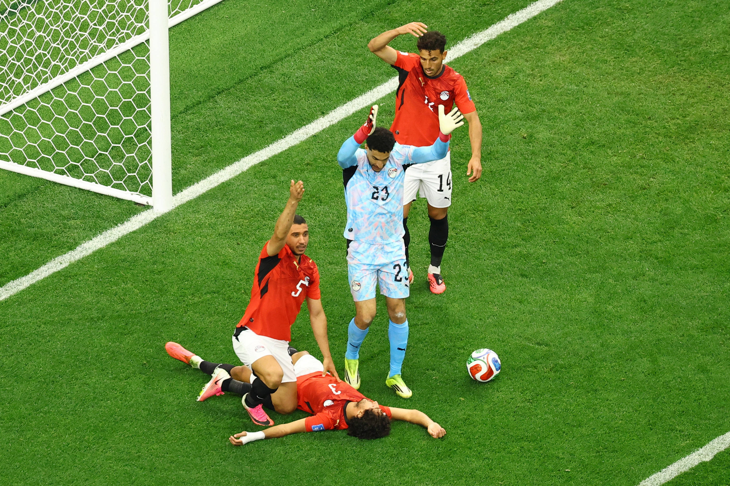 2598933875477577770.jpg
