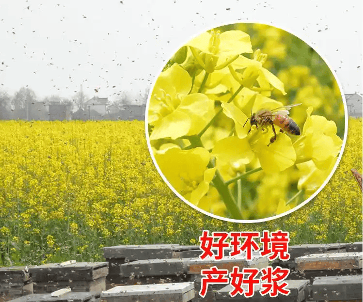 9825bc315c6034a8d94ccd9143b20444082376a1.webp.png
