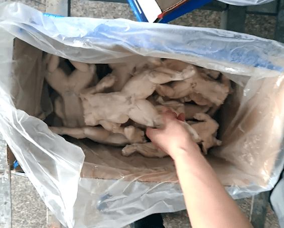 多平台牛蛙抽检抗生素超标，为什么这类成分屡屡超标？吃了对身体有危害吗？购买时有办法辨别牛蛙是否安全吗？
