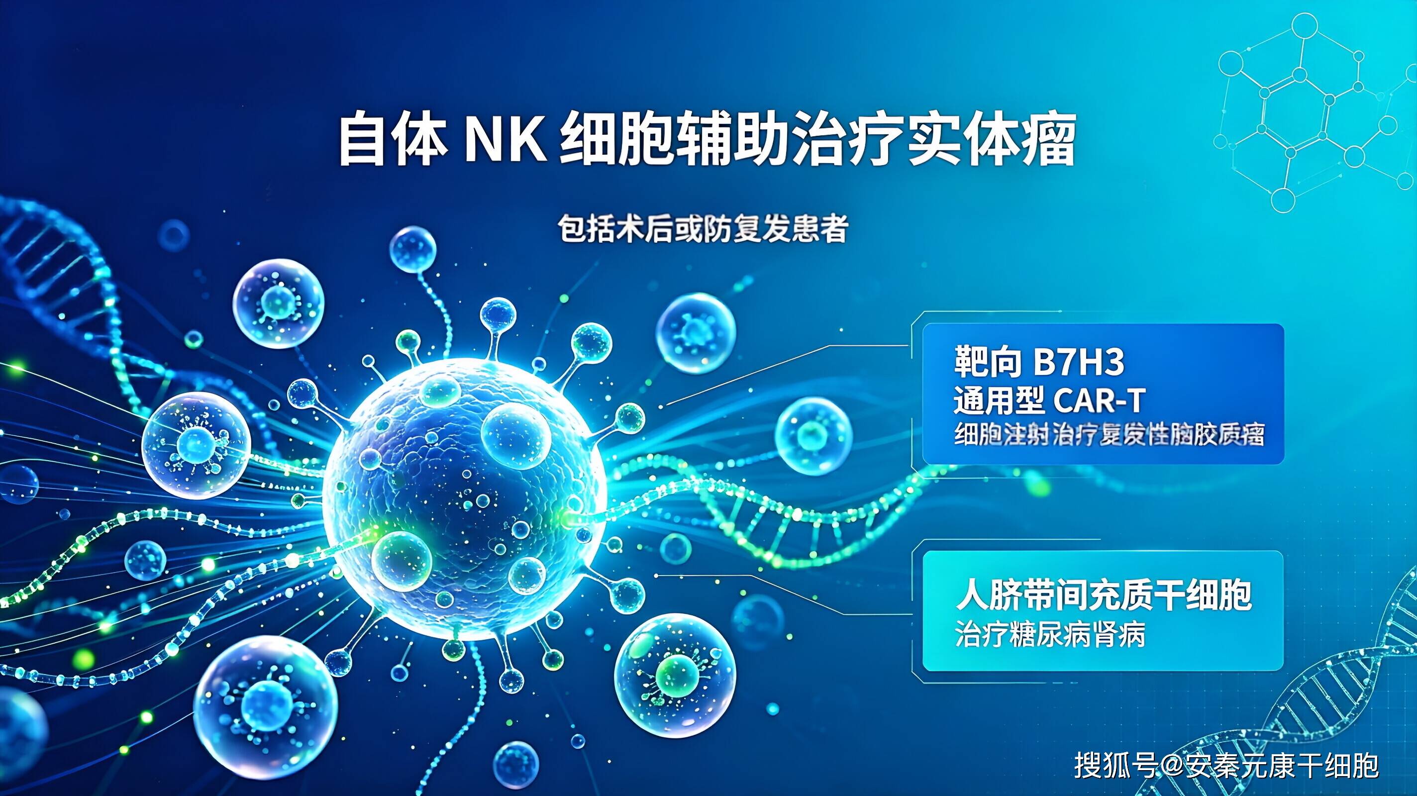 肺癌细胞免疫疗法：NK细胞回输价格、费用明细及注意事项
