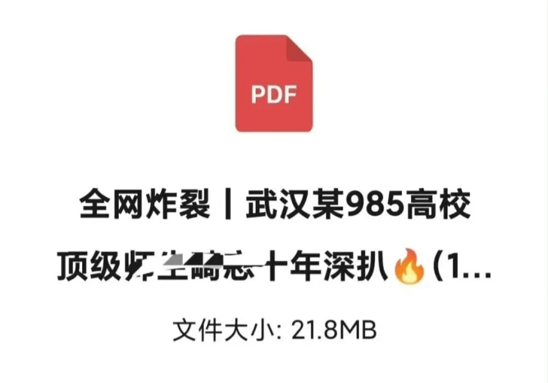 武大教授两女儿实名举报女教师勾引自己父亲，附上86页PDF材料，违规改造实验室搭建私人空间