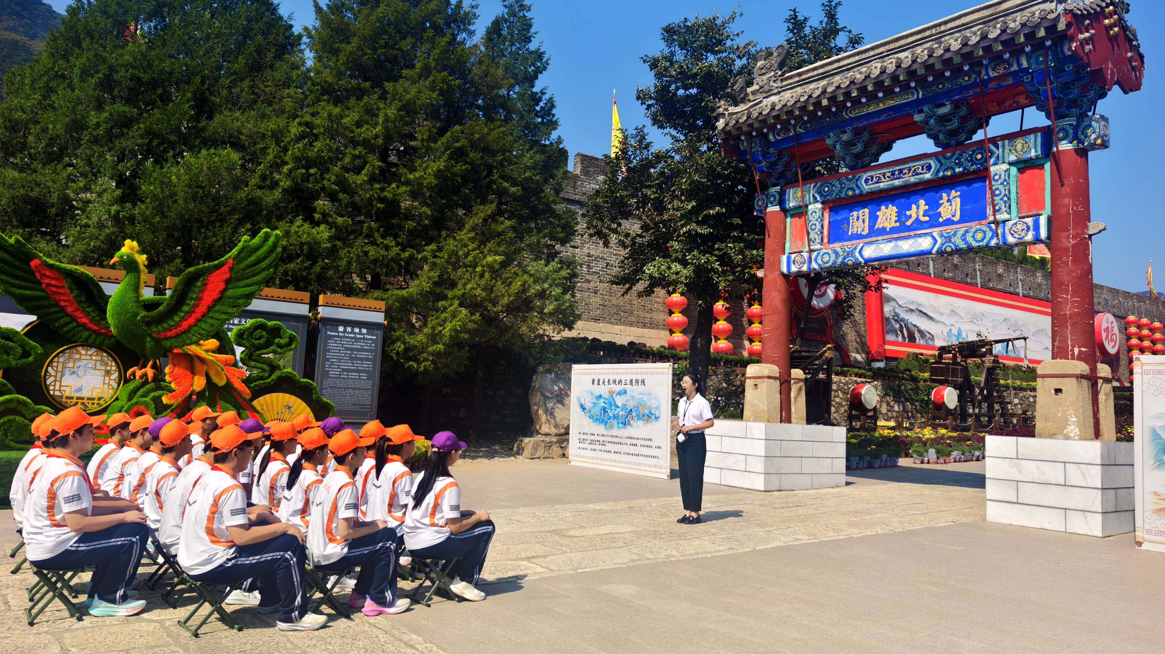 解锁研学课程的魅力：一场探索与成长的旅行