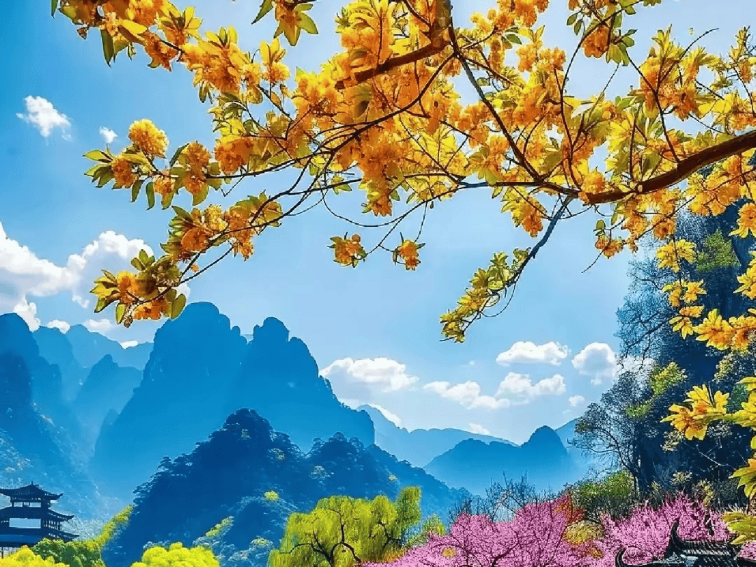 文章配图-2