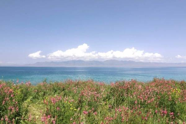 4 (17)_resized.jpg