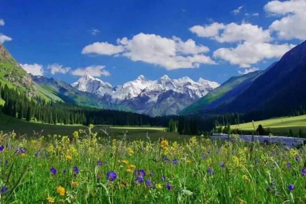 5 (7)_resized.jpg