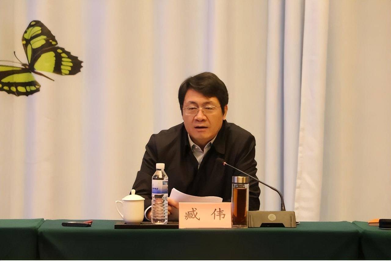 臧伟任菏泽市人民政府副市长_滨州_市委常委_工作