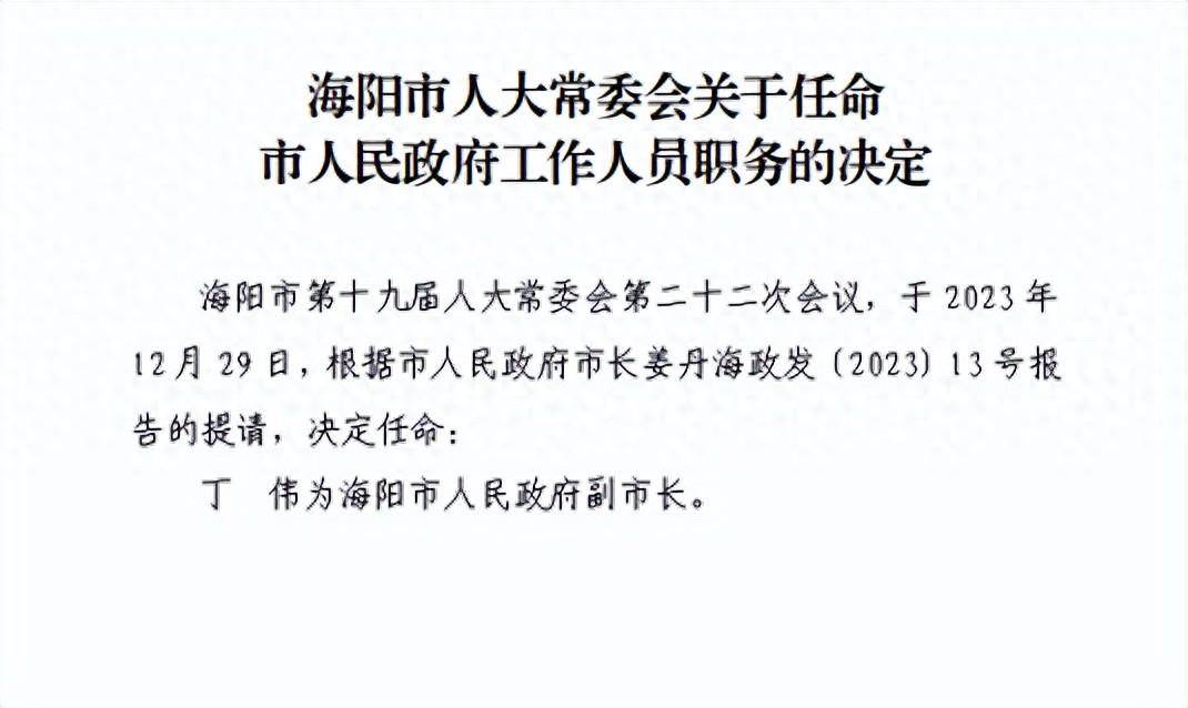 "80后"丁伟,履新海阳市副市长_总面积_之城_创业