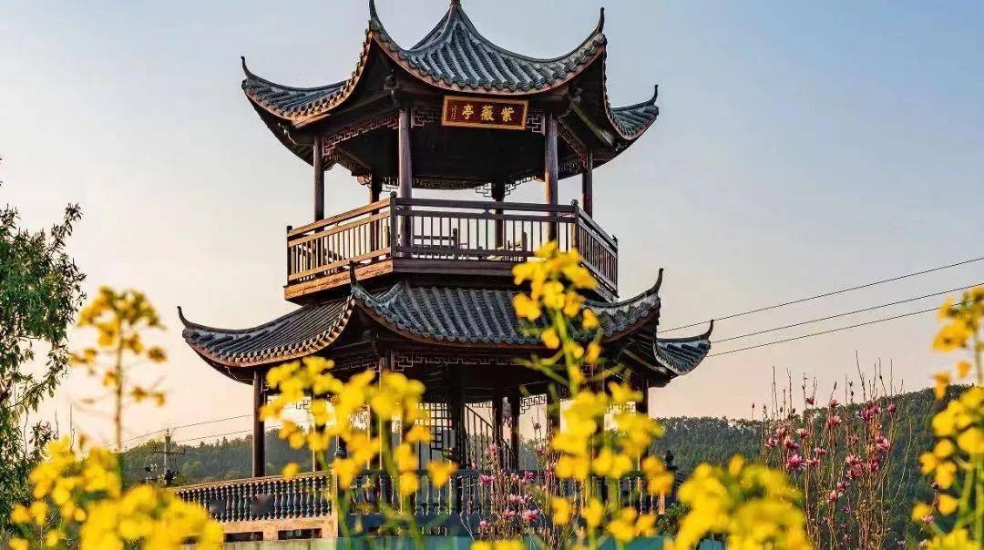 建阳(卧龙湾)武夷花花世界景区,"花卉 文化"为主题,意境绝美黄坑景区