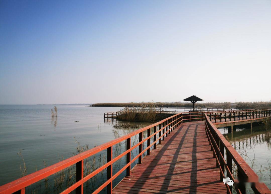 半岛花溪乐园位于滨湖大道黄麓段,主要有儿童乐园,花海世界,果园采摘