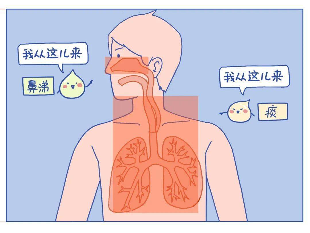 咳出白痰,黃痰,黑痰又代表啥?_肺部_呼吸道_情況