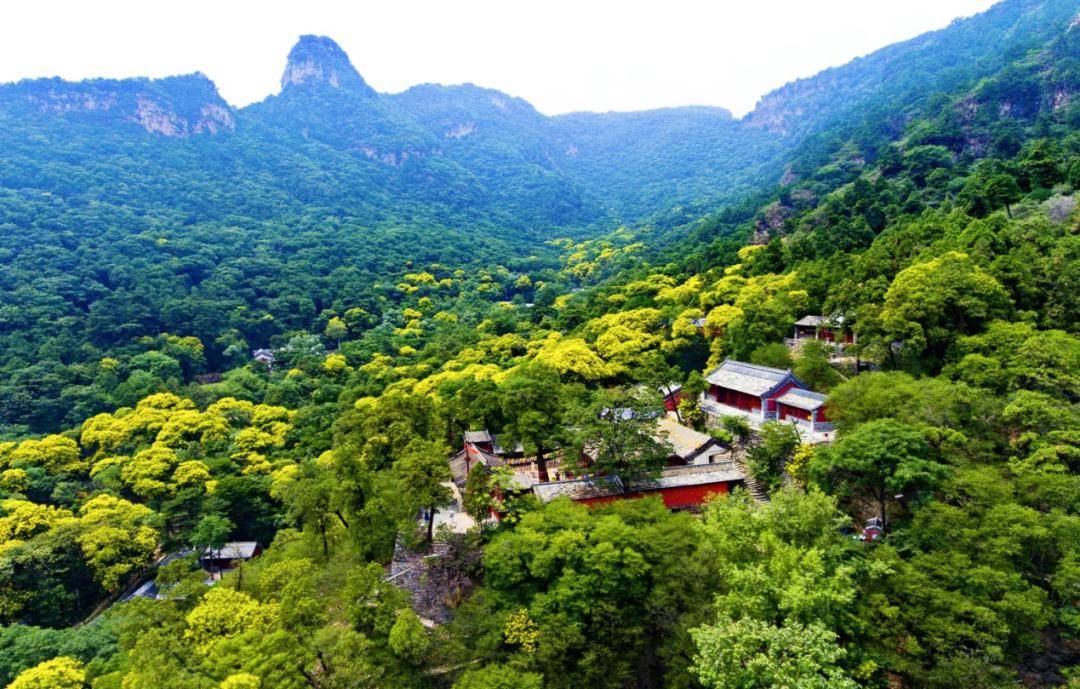 房山区创森顺利通过国家级验收,成功助力北京市荣获国家森林城市