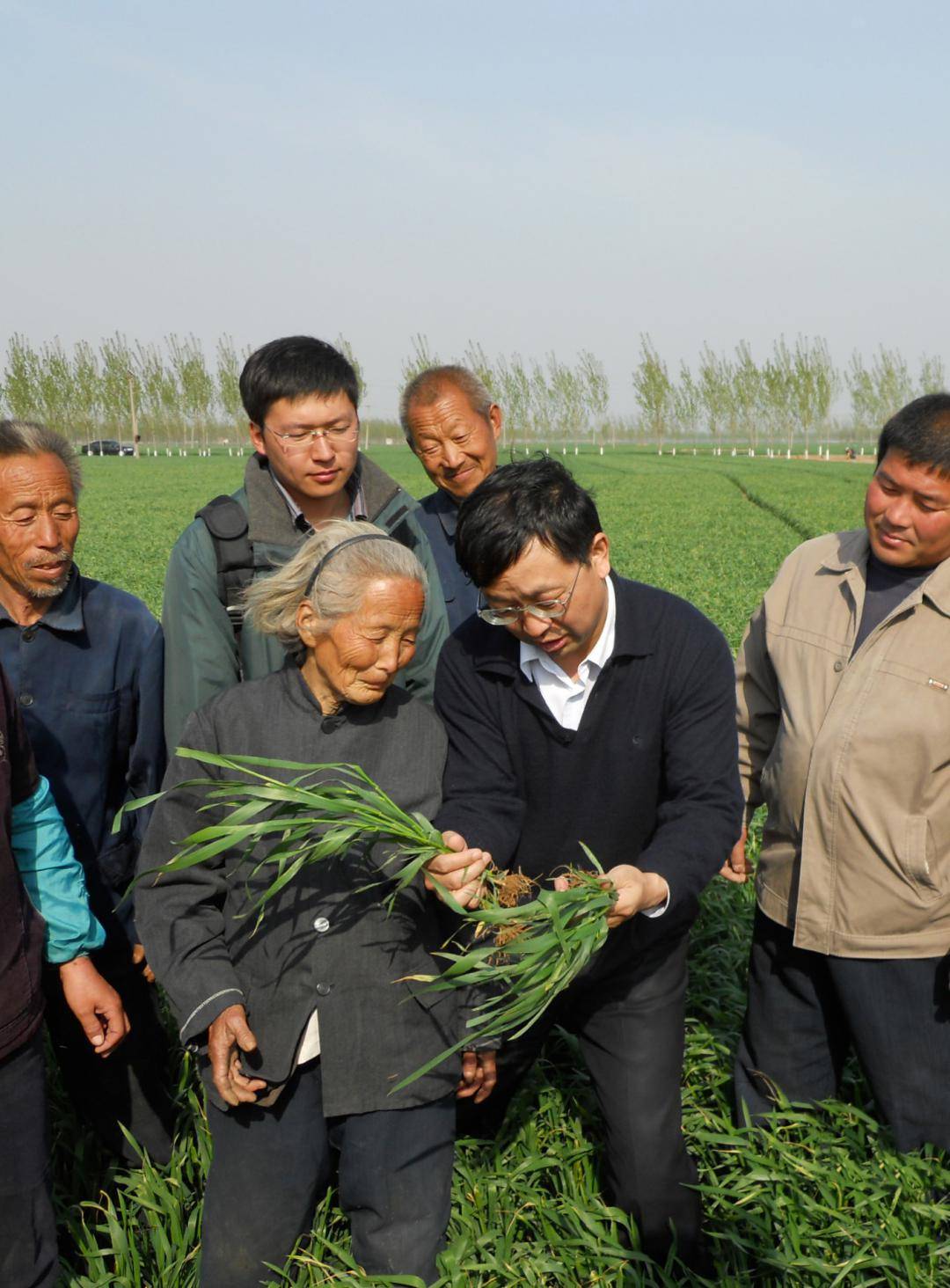 科技小院里的"大"老师_张福锁_绿色_生产