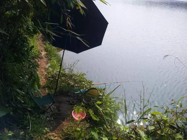 全程图文记录最原生态的一次钓行,用水蜈蚣做钓饵_钓鱼人_白条_钓友