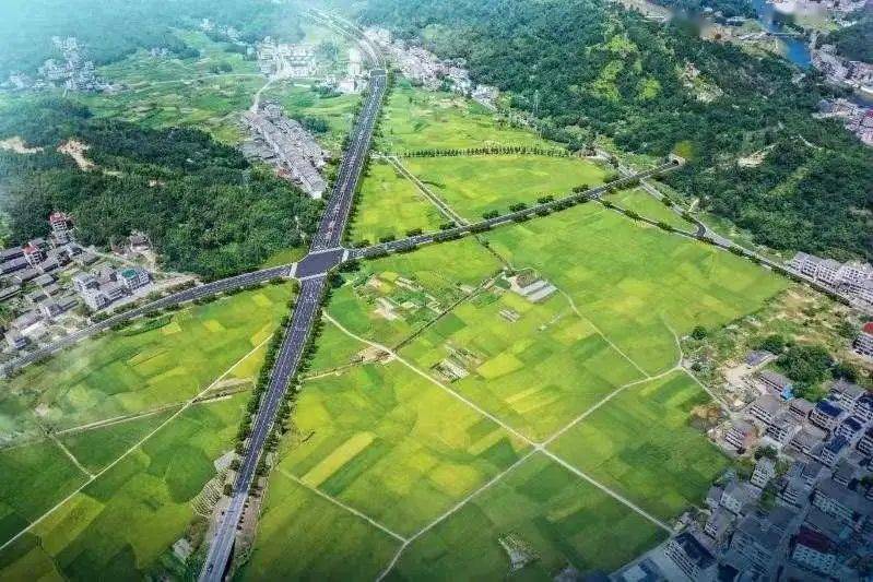 有利于我市湖岭,林川,芳庄三地群众快速便捷上下瑞湖高速,缩短到瑞安