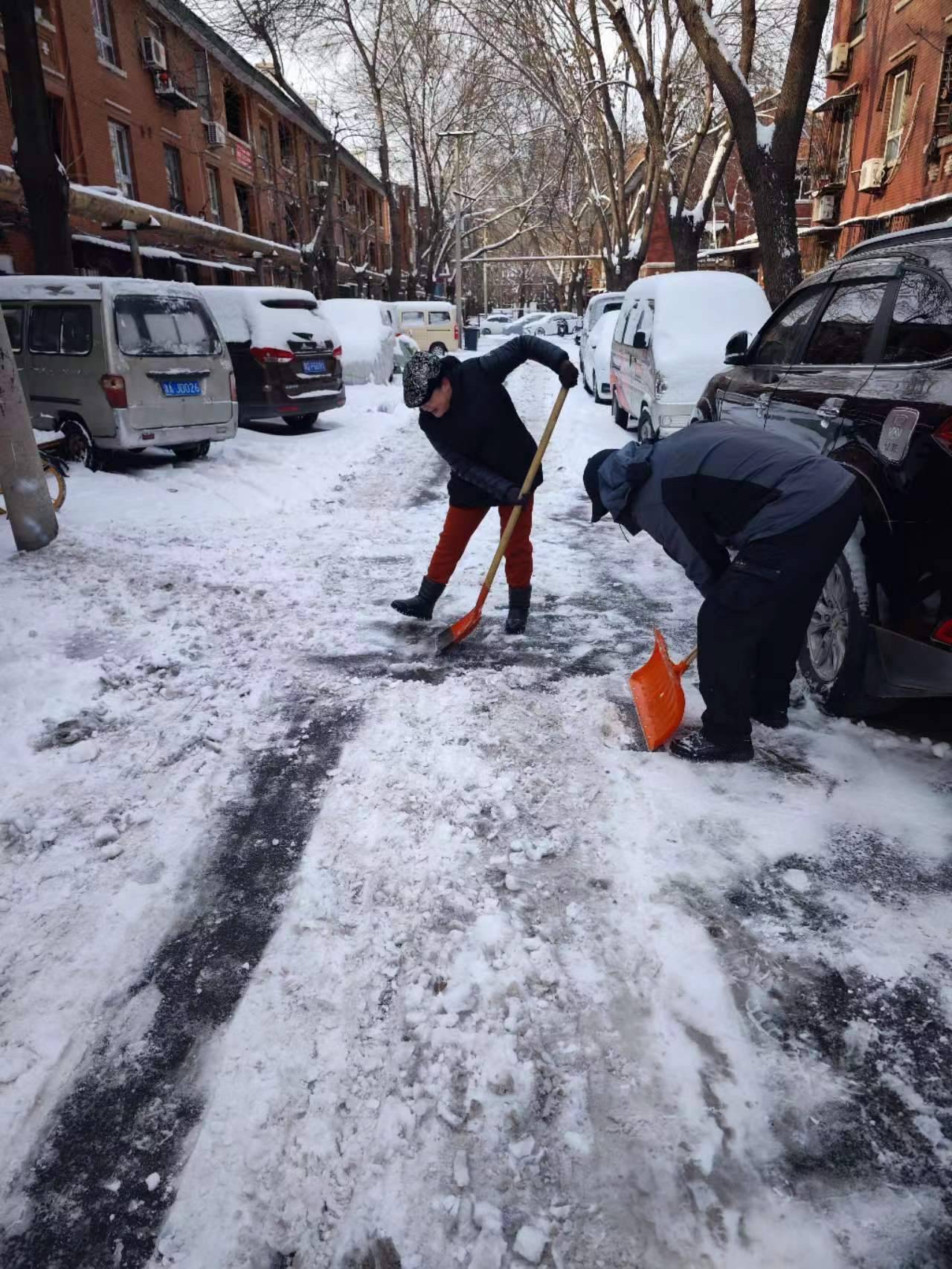 "见行见效 津彩绽放"活动参赛作品:志愿清雪暖人心 守望相助见真情_靳