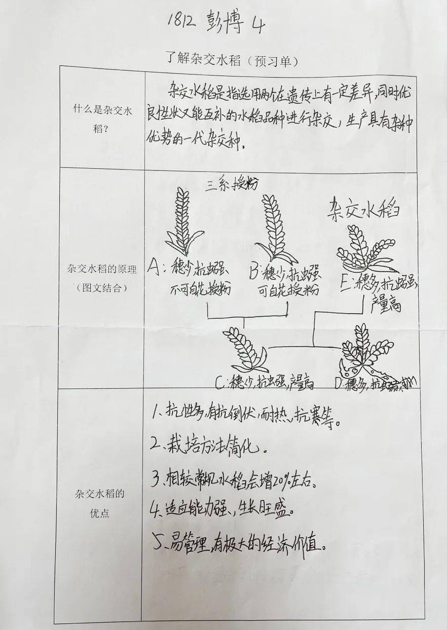 探究課程|跨學科主題式項目課程(二)