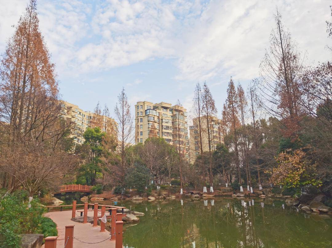 冬日暖阳下,走进九里亭_阳光中_天鹅_整理