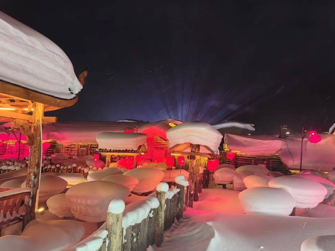 樂享雪鄉,開啟雪上嗨玩之旅~_安惠_東北_惠人