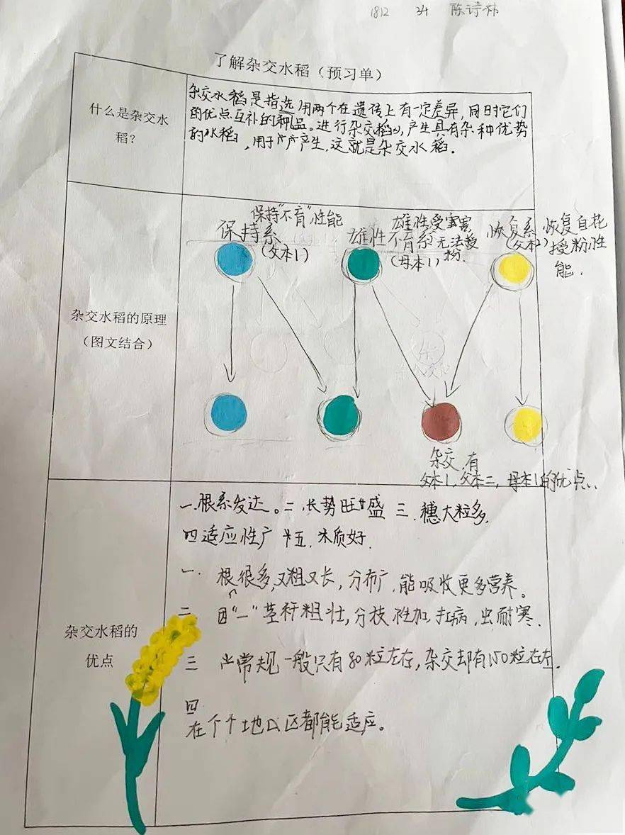 探究課程|跨學科主題式項目課程(二)