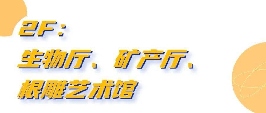 煙臺這個打卡地也太好逛了!_中國_自然_化石