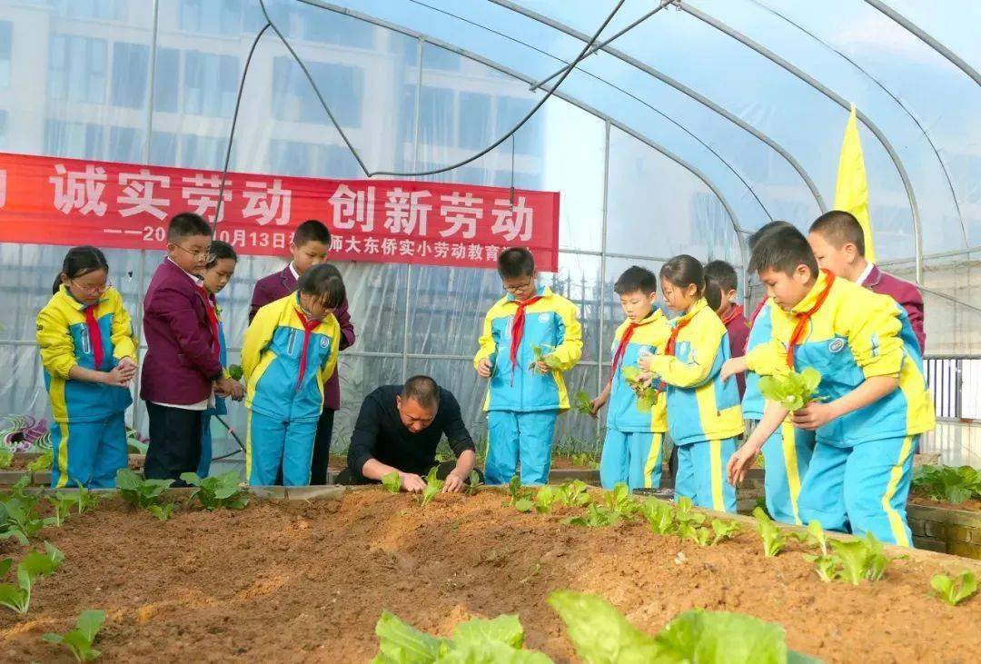 目前,東僑已建區屬義務教育學校7所(其中初中學校2