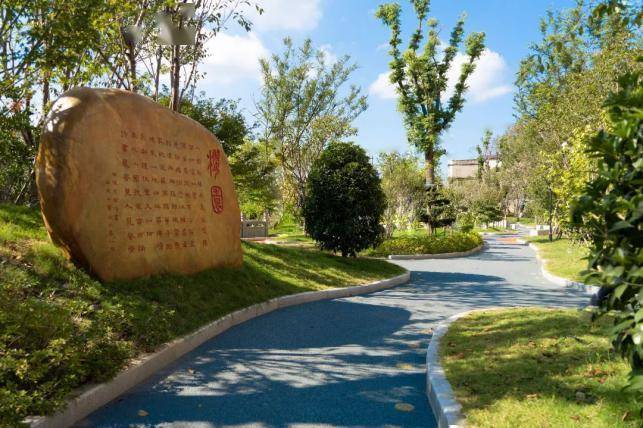 【县中崛起】丽水学院附中:跃阶攀高,再征峻峰;念念不忘,必有回响