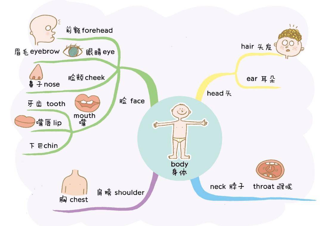 英语职业单词思维导图图片