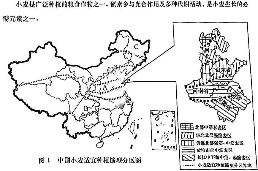 24普陀初三一模跨學科案例解析——地理_小麥_氮肥_施肥量