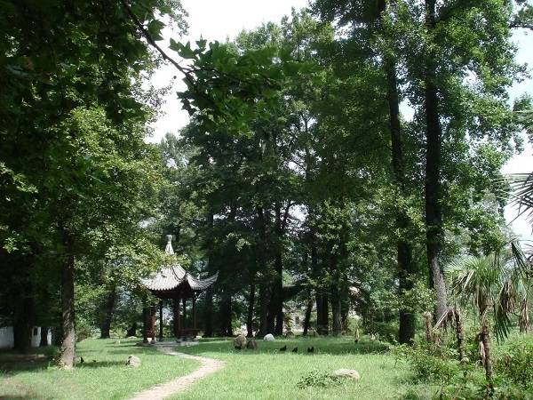 黟县柯村打造“红色+”康养“新坐标”_旅游_黄山_建设