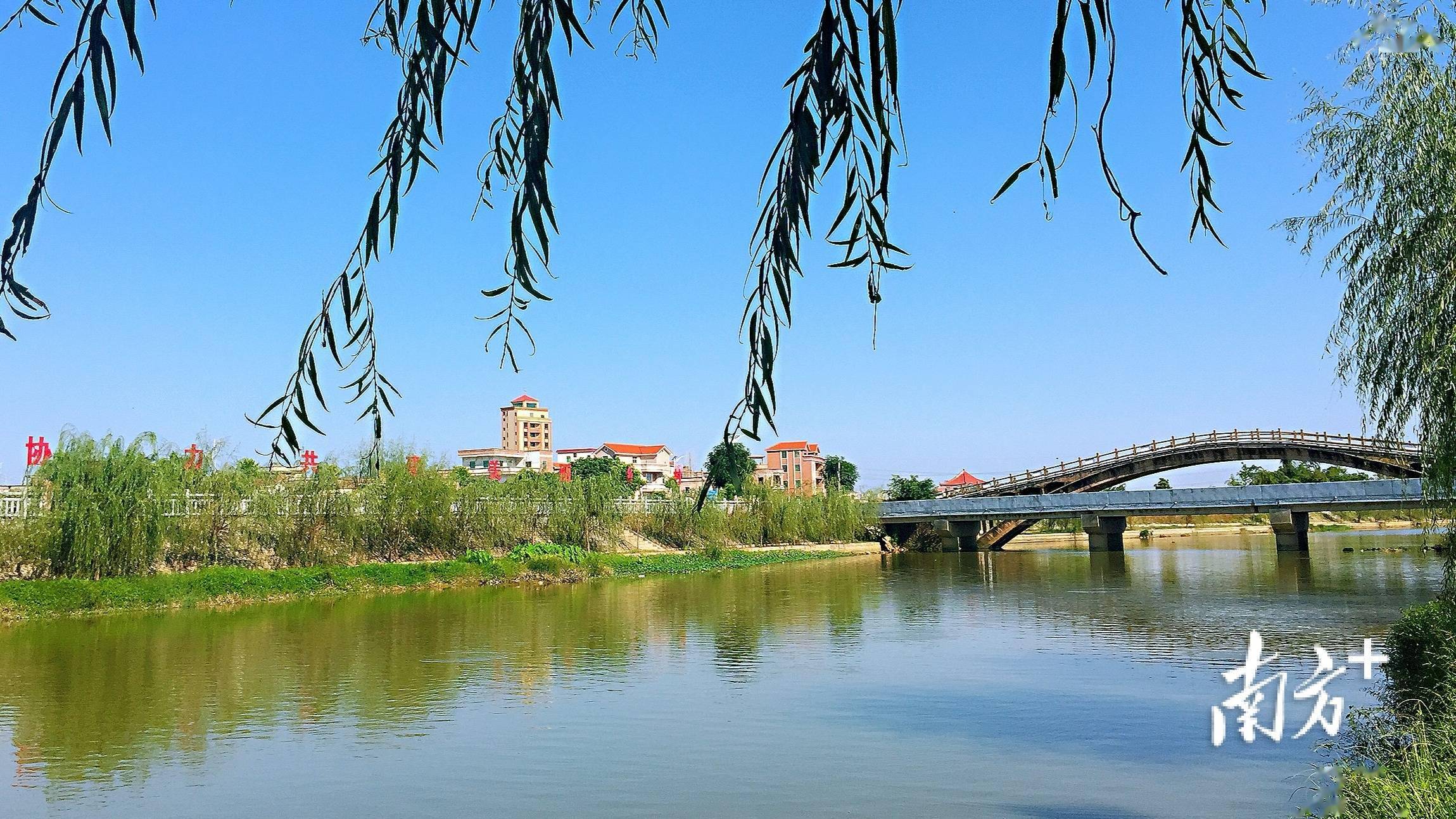 茂南:绘就绿色发展新画卷_建设_茂名市茂南区_活动